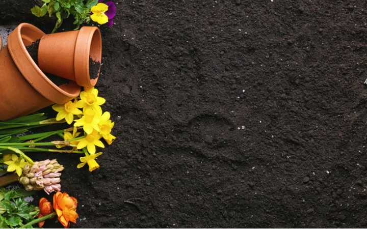 Verpackungslinie für Blumenerde | NEWTEC BAG