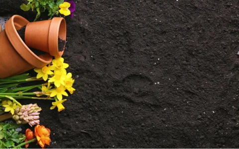 Verpackungslinie für Blumenerde | NEWTEC BAG