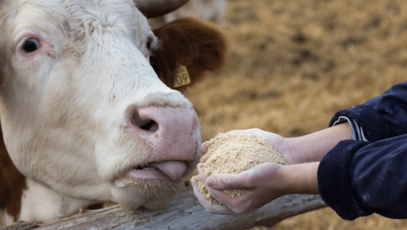 animal feed packaging